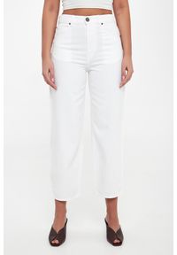 Pinko - Jeansy damskie Estelle PINKO #2