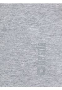 Big-Star - Koszulka damska gładka szara Classic 991. Kolor: szary. Materiał: materiał. Wzór: gładki #2