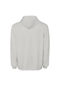 ROLY - Bluza Z Kapturem Unisex Dla Dorosłych Kenia. Typ kołnierza: kaptur. Kolor: szary