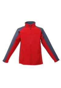 Regatta - Bluza Polarowa Męska Nieprzewiewna. Kolor: wielokolorowy, szary, czerwony. Materiał: polar, softshell. Sport: turystyka piesza #1