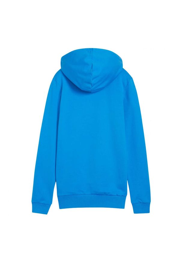 Puma - Damska Bluza Z Kapturem Team Goal Casual. Typ kołnierza: kaptur. Kolor: niebieski