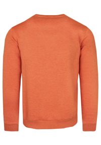 Pomarańczowa Bluza - Wildfinder - Okrągły Dekolt. Okazja: na co dzień. Kolor: pomarańczowy. Materiał: bawełna, poliester. Wzór: melanż. Styl: casual, sportowy #3