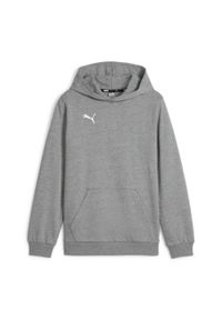 Bluza dla dzieci Puma Team Goal Casuals Hoddy. Kolor: szary. Sport: piłka nożna #1