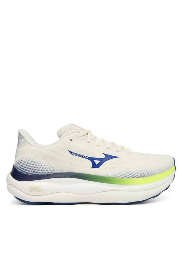 Buty do biegania Mizuno. Kolor: szary. Model: Mizuno Wave