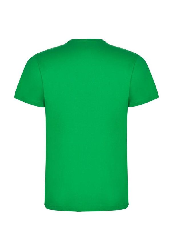 ROLY - Koszulka Dziecięca Dogo. Kolor: zielony. Sport: turystyka piesza