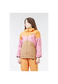 PICTURE ORGANIC CLOTHING - Kurtka snowbordowa juniorska Seady 10/10. Kolor: wielokolorowy