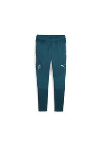 Puma - Piłkarskie spodnie treningowe PUMA x NEYMAR JR Creativity PUMA. Kolor: pomarańczowy, wielokolorowy, niebieski, żółty. Sport: piłka nożna