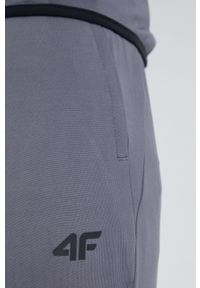 4f - 4F spodnie treningowe męskie kolor szary gładkie. Kolor: szary. Materiał: materiał. Wzór: gładki