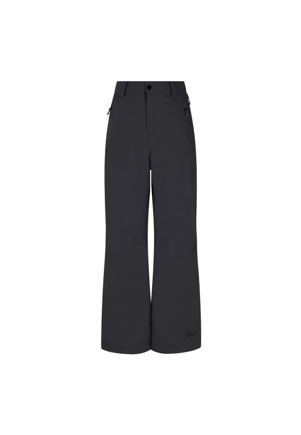 Dziecięce spodnie narciarskie Protest Sterio. Kolor: szary. Sezon: zima. Sport: narciarstwo