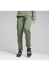 Puma Spodnie Evostripe Hw 67607544. Kolor: zielony, wielokolorowy, szary