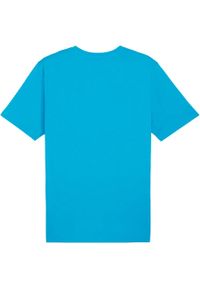 Koszulka męska Puma Team Rise Logo Jersey Cotton. Kolor: niebieski, wielokolorowy, biały. Materiał: jersey. Sport: fitness, piłka nożna
