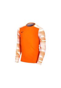 Koszulka piłkarska chłopięca Nike JR Dry Park IV. Kolor: żółty, pomarańczowy, wielokolorowy. Długość rękawa: długi rękaw. Długość: długie. Sport: piłka nożna