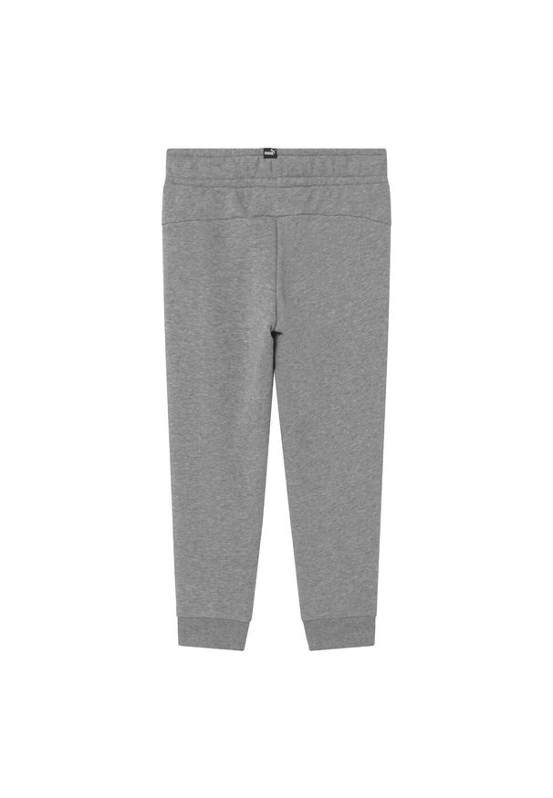 Spodnie dla dzieci Puma ESS Logo Pants TR. Kolor: szary