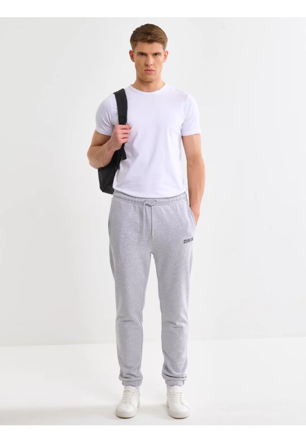 Big-Star - spodnie męskie dresowe szare brutus 901. Kolekcja: plus size. Kolor: szary. Materiał: dresówka. Wzór: aplikacja, nadruk
