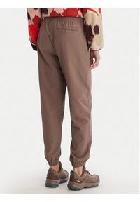 columbia - Columbia Spodnie outdoor Pinetown Canyon™ 2155911 Brązowy Regular Fit. Kolor: brązowy. Materiał: syntetyk. Sport: outdoor #3