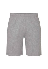 MANTIS - Spodenki Unisex Dla Dorosłych. Kolor: szary. Sport: turystyka piesza #1
