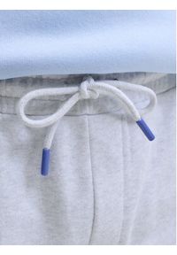 Jack & Jones Szorty sportowe Gordon College 12289726 Szary Regular Fit. Kolor: szary. Materiał: bawełna. Styl: sportowy #6