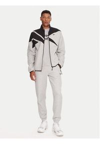 Reebok Spodnie dresowe RK25145CCM Szary Regular Fit. Kolor: szary. Materiał: bawełna #4