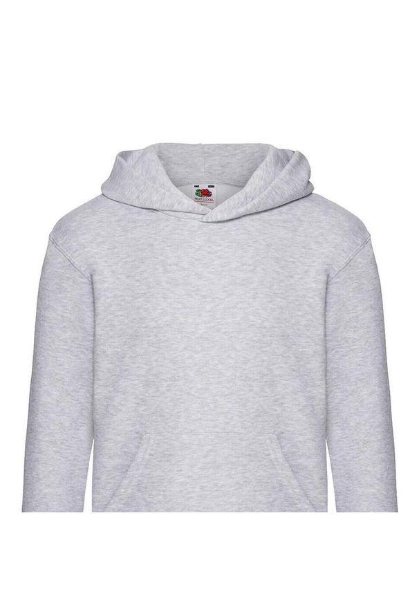 FRUIT OF THE LOOM - Bluza Dziecięca Premium Plain Hoodie. Kolor: szary