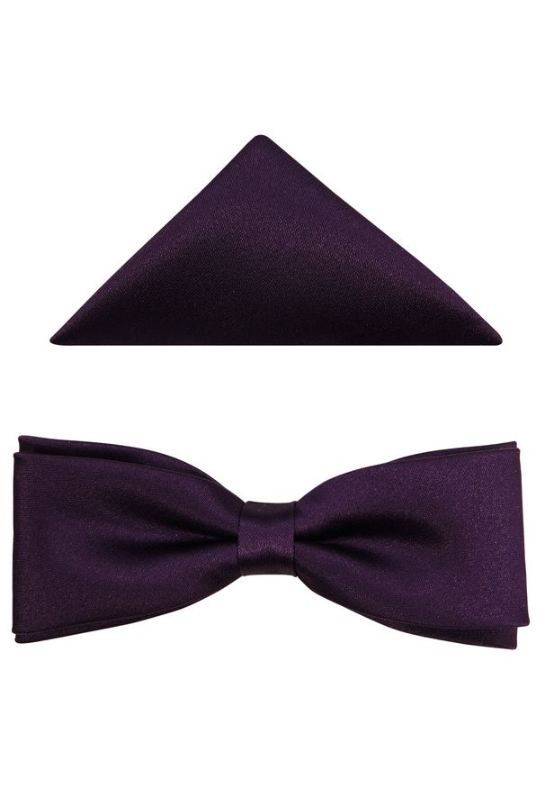 Modini - Fioletowa / śliwkowa mucha męska slim B56. Kolor: fioletowy. Materiał: poliester, tkanina. Styl: elegancki