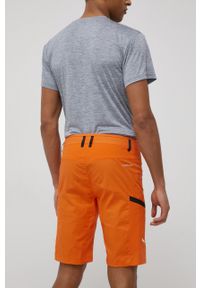 Salewa szorty outdoorowe Lavaredo męskie kolor pomarańczowy. Kolor: pomarańczowy. Materiał: poliester, włókno, materiał, elastan #3