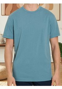 Sinsay - Koszulka basic - niebieski. Kolor: niebieski #1