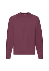 FRUIT OF THE LOOM - Klasyczna Bluza Raglanowa Unisex Dla Dorosłych. Kolor: czerwony, wielokolorowy, brązowy. Długość rękawa: raglanowy rękaw
