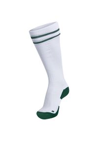 Getry piłkarskie dla dorosłych Hummel Element Football Sock. Kolor: wielokolorowy, zielony, biały. Sport: piłka nożna