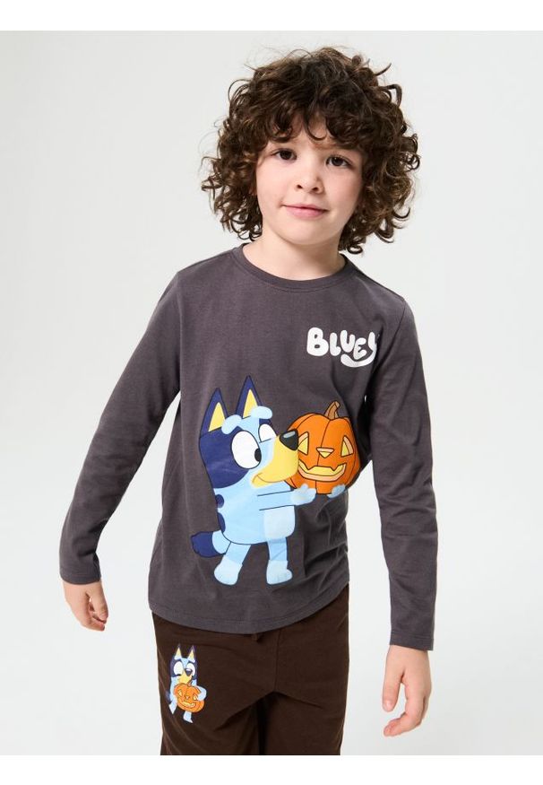 Sinsay - Bawełniana koszulka z nadrukiem Bluey - szary. Kolor: szary. Materiał: bawełna. Wzór: nadruk