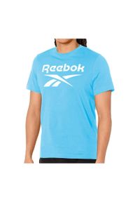 Koszulka Reebok Identity Big Logo Tee. Kolor: niebieski #1