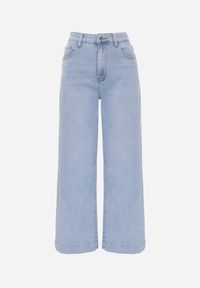 Renee - Jasnoniebieskie Bawełniane Jeansy High Waist Wide Leg Heltora. Okazja: na co dzień. Stan: podwyższony. Kolor: niebieski. Długość: krótkie. Styl: klasyczny, casual #6