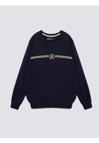 Big-Star - Bluza męska z haftem granatowa Daniel 403. Okazja: na co dzień. Kolor: niebieski. Materiał: dzianina. Wzór: haft. Styl: casual #3