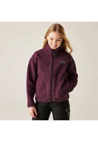 DARE 2B - Polar dziecięcy Zesty II Dare 2b. Kolor: fioletowy. Materiał: polar. Wzór: nadruk. Sezon: zima. Sport: narciarstwo #1