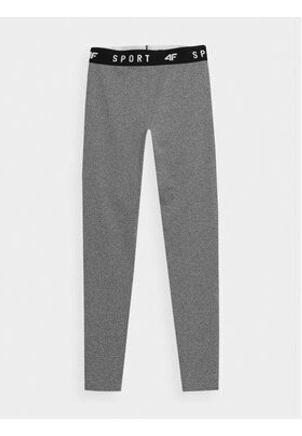 4f - 4F Legginsy 4FSS23TFTIF077 Szary Slim Fit. Kolor: szary. Materiał: syntetyk