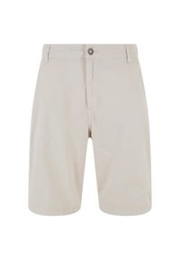 Szorty Urban Classics Skater. Kolor: szary. Długość: krótkie. Sezon: lato #1