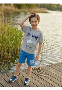 Sinsay - Bawełniane szorty z nadrukiem - niebieski. Kolor: niebieski. Materiał: bawełna. Wzór: nadruk