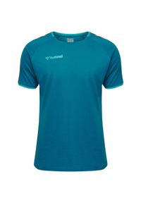 Koszulka do piłki nożnej dla dzieci Hummel trainig hml authentic. Kolor: wielokolorowy, turkusowy, niebieski. Materiał: bawełna, jersey