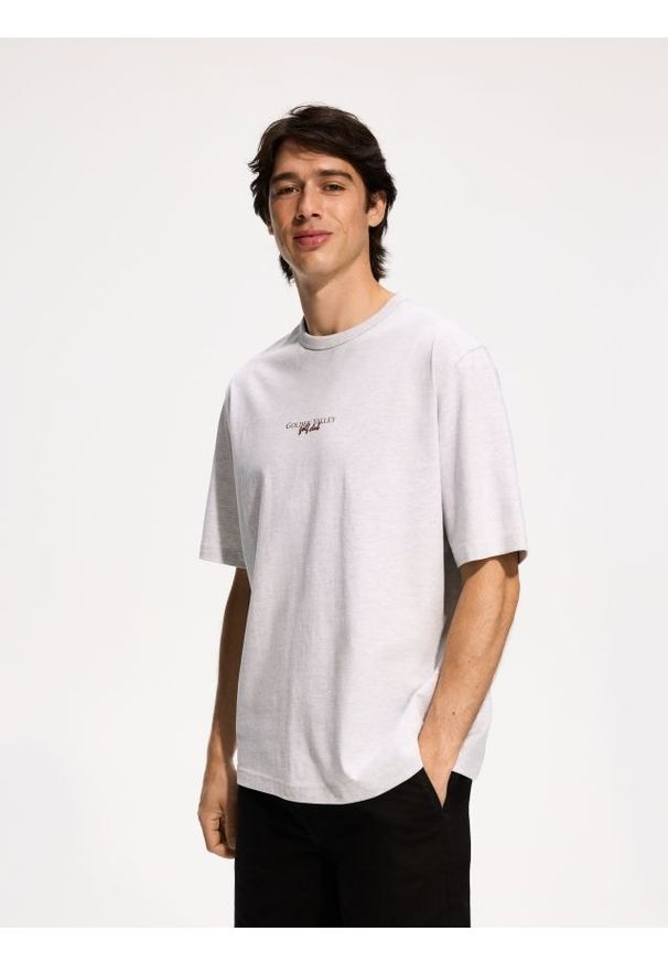 Reserved - T-shirt relaxed fit z nadrukiem - jasnoszary. Kolor: szary. Materiał: bawełna, dzianina. Wzór: nadruk