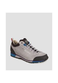 Buty męskie Dolomite 54 Hike Low Evo GTX. Kolor: szary