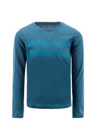 ALPINE PRO - Stylowy T-shirt dla dzieci Alpine Pro Medemo 152-158. Kolor: zielony. Materiał: bawełna. Długość rękawa: długi rękaw. Długość: długie. Wzór: nadruk
