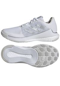 Adidas - Buty do siatkówki adidas Crazyflight W IG3970 białe. Zapięcie: sznurówki. Kolor: biały. Materiał: guma, syntetyk, tkanina. Szerokość cholewki: normalna. Sport: siatkówka #5