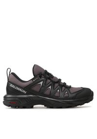 salomon - Salomon Trekkingi X Braze Gtx GORE-TEX L47180700 Szary. Kolor: szary. Materiał: materiał