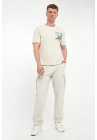 Aeronautica Militare - T-shirt męski z nadrukiem AERONAUTICA MILITARE. Wzór: nadruk #2