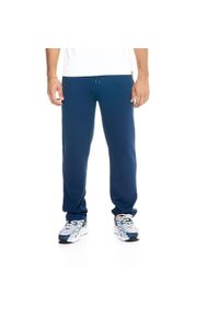 LEONE 1947 APPAREL - Męskie spodnie dresowe Leone Urban. Kolor: niebieski. Materiał: dresówka. Sport: fitness