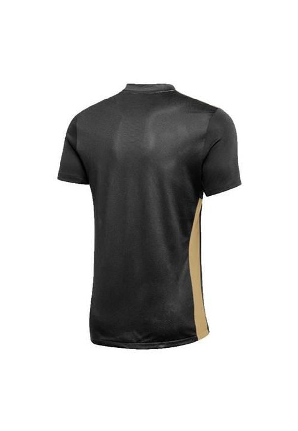 Koszulka treningowa męska Nike Dri-fit Park Derby Iv. Kolor: czarny. Długość rękawa: krótki rękaw. Technologia: Dri-Fit (Nike). Długość: krótkie. Sport: bieganie