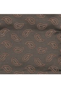 Mucha Męska w Zestawie z Poszetką - Alties - Popiel i Brąz, Paisley. Kolor: beżowy, wielokolorowy, brązowy. Wzór: paisley. Styl: elegancki, sportowy #2