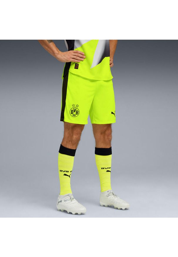Puma - Męskie szorty Borussia Dortmund 25/26 PUMA. Kolor: wielokolorowy, żółty, czarny. Materiał: tkanina. Sport: piłka nożna