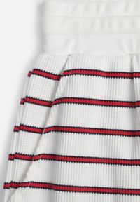 Born2be - Czerwono-Białe Bawełniane Szorty w Paski z Wysokim Stanem w Stylu Casual Naunea. Okazja: na co dzień. Stan: podwyższony. Kolor: biały. Materiał: bawełna. Długość: długie. Wzór: paski. Sezon: lato. Styl: casual #8