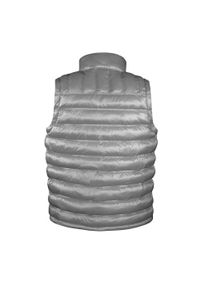 RESULT - Męska Ocieplana Kamizelka / Kamizelka Ice Bird. Kolor: szary