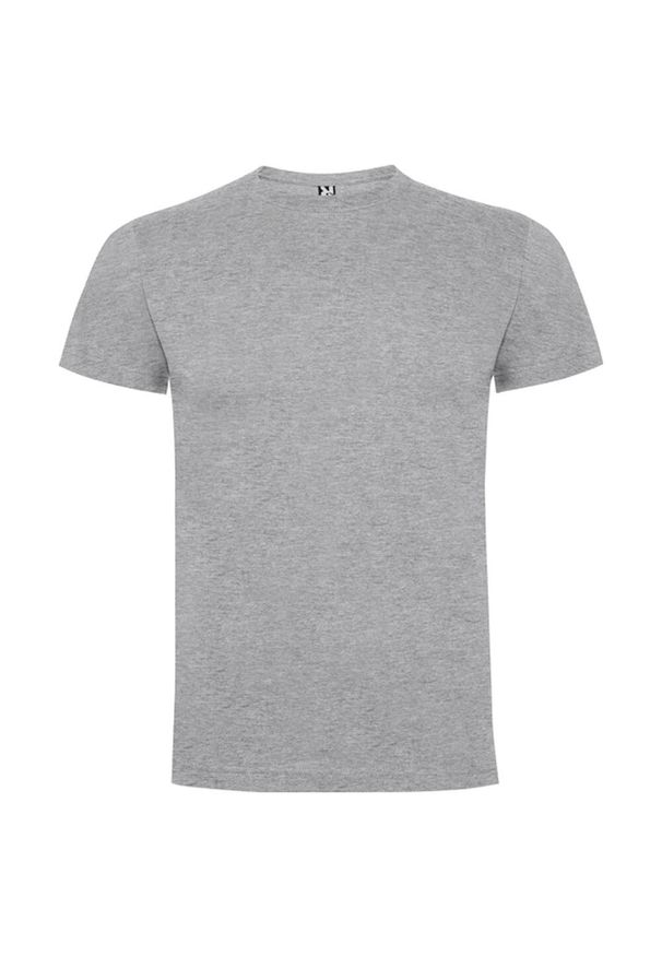 ROLY - Męska Koszulka Dogo Premium. Kolor: szary. Sport: turystyka piesza